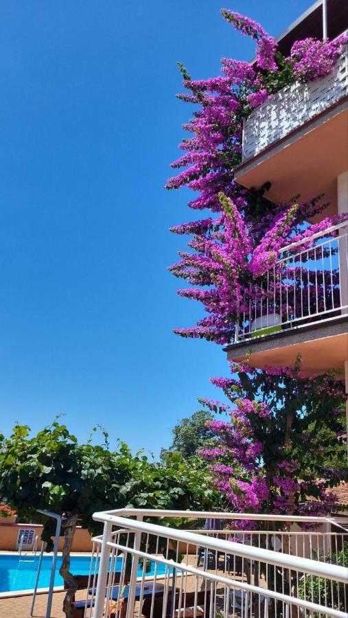 Stella Apartments Vinkuran Εξωτερικό φωτογραφία