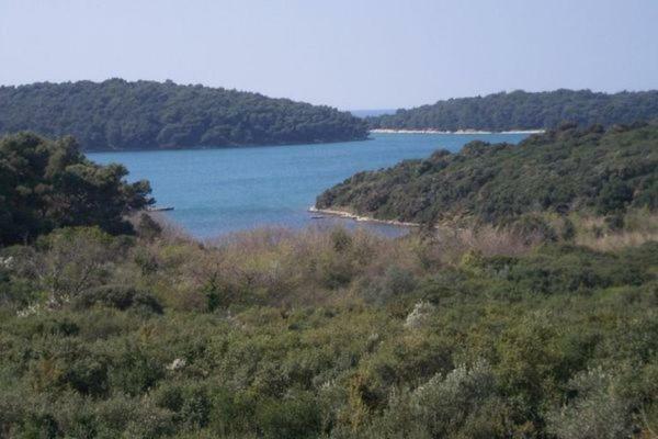 Stella Apartments Vinkuran Εξωτερικό φωτογραφία